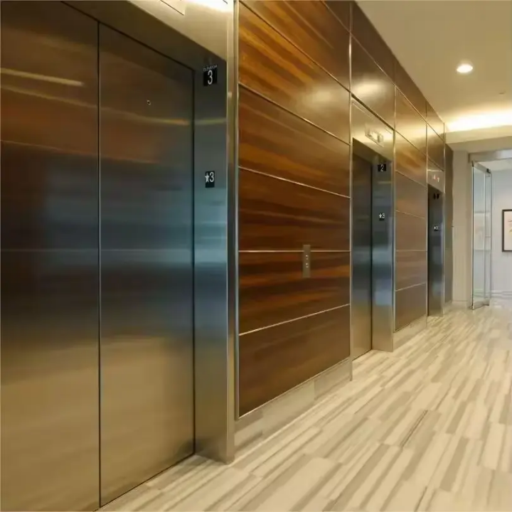 Multi-Stop 6 Passenger Stainless Elevator by Home lift elevator