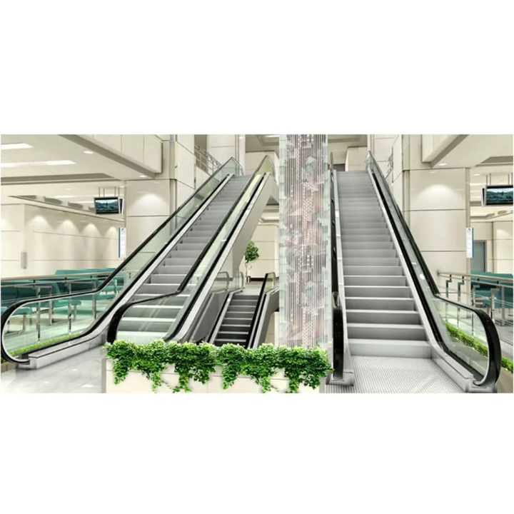 Retail Venue 30° Electric Escalator by Home lift elevator