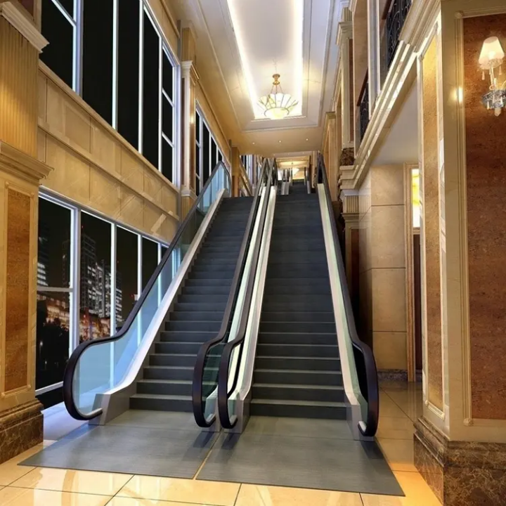 30° Escalator with VVVF for High-Traffic Areas by Home lift elevator