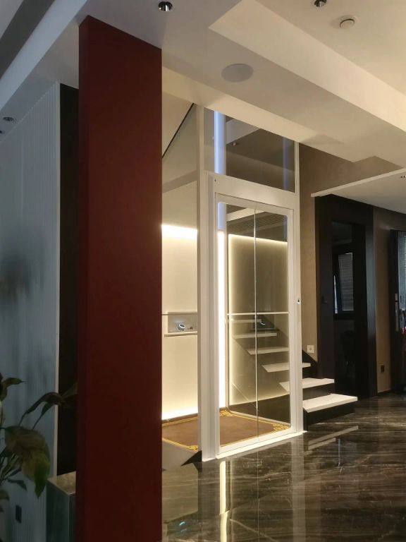 Duplex Home Elevator System by Home lift elevator