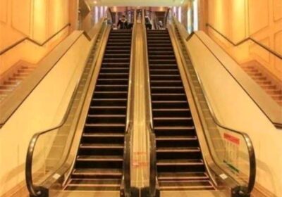 IMG_20250514_30922-1