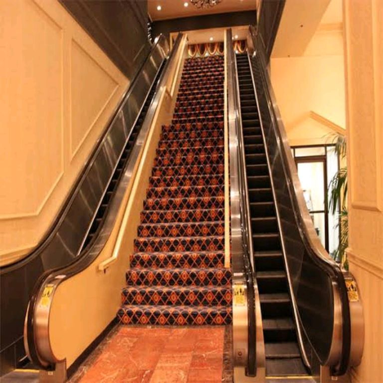 Smart Home Escalator by Home lift elevator