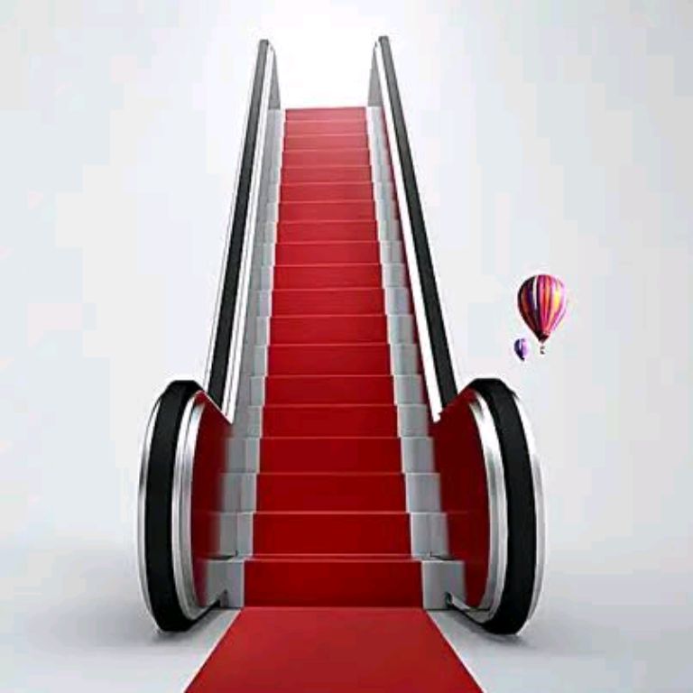 Home-Level Escalator System by Home lift elevator