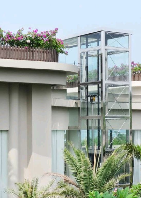 External Home Access Elevator by Home lift elevator