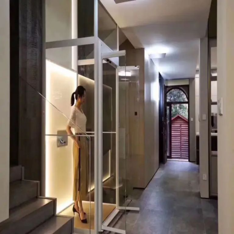 Quiet Steel Strap Home Elevators by Home lift the