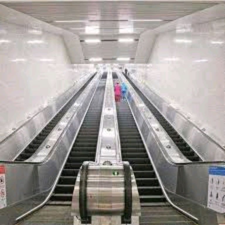 High-Traffic Area Escalators by Home lift elevator