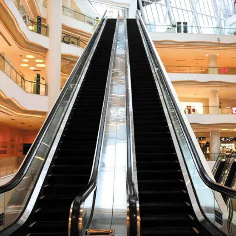 Auto Stair Climber by Home lift elevator
