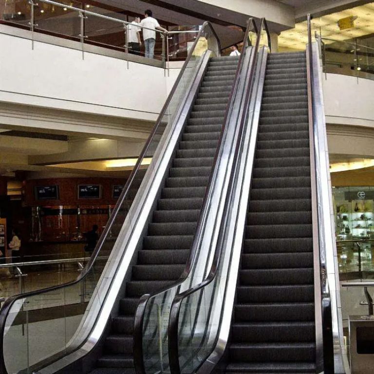 Floor-to-Floor Passenger Conveyor by Home lift elevator