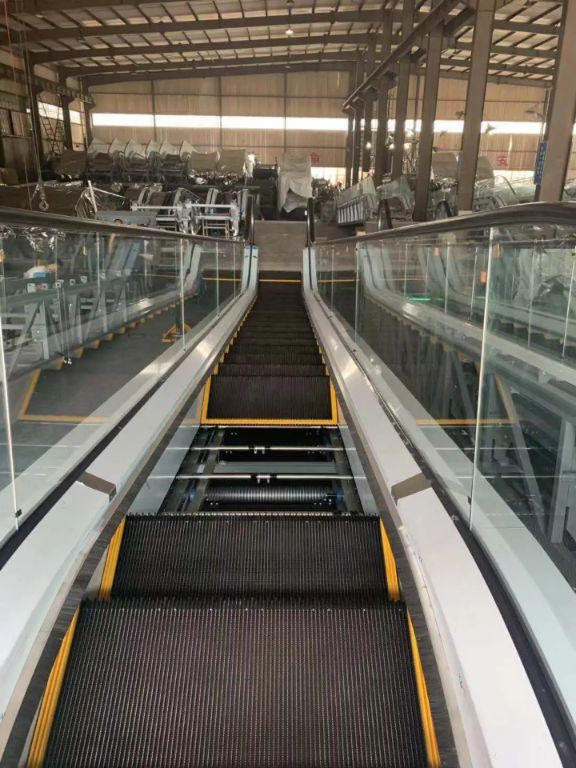 Travelator with Steps by Home lift elevator