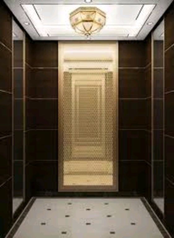 450kg 5-Stop Vertical Elevating Passenger Solution by Home lift elevator