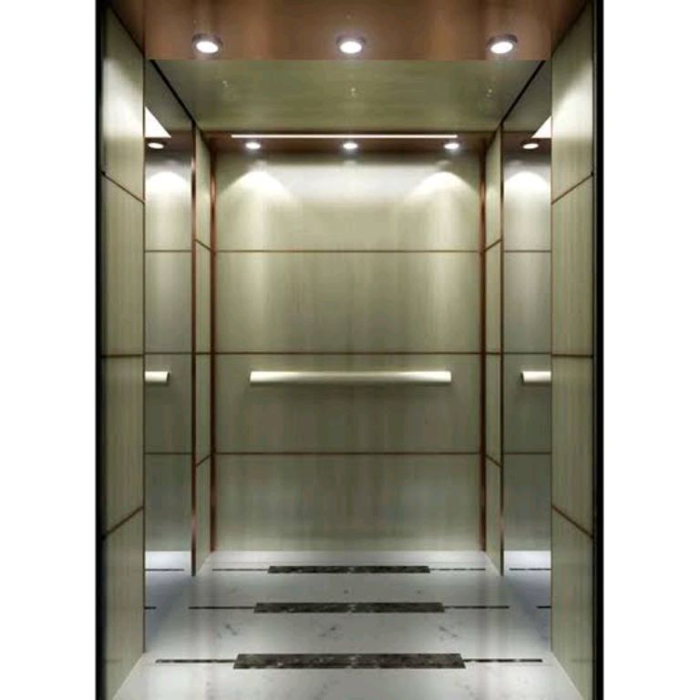 Mid-Rise 6-Person Elevator with Stainless Finishing by Home lift elevator