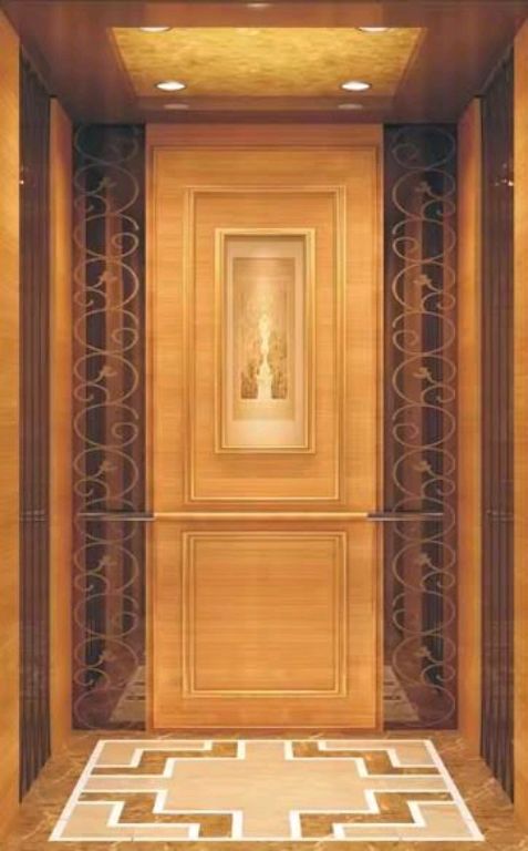 5-Stop Residential Passenger Elevator with Steel Cabin by Home lift elevator