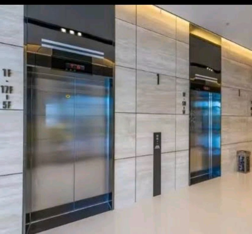 5-Floor Elevator System with 6-Person Cabin Capacity by Home lift elevator