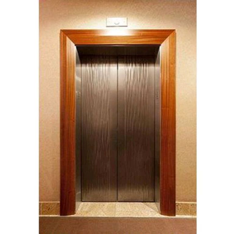 Smooth Ride 450kg Gold Residential Lift by Home lift elevator