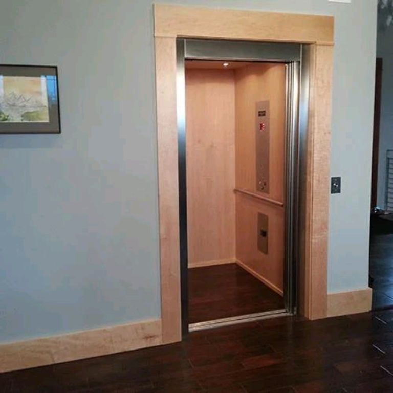450kg Whisper-Quiet Ti-Gold Domestic Lift by Home lift elevator
