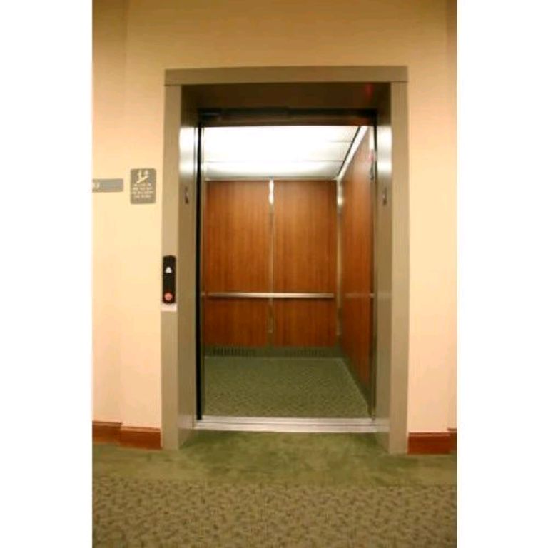 Noise-Reduced 450kg Ti-Gold Home Elevator by Home lift elevator