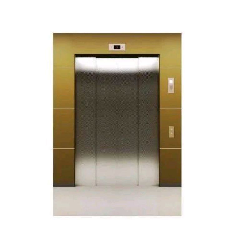 Ti-Gold Residential Elevator for Quiet Lifting – 450kg by Home lift elevator