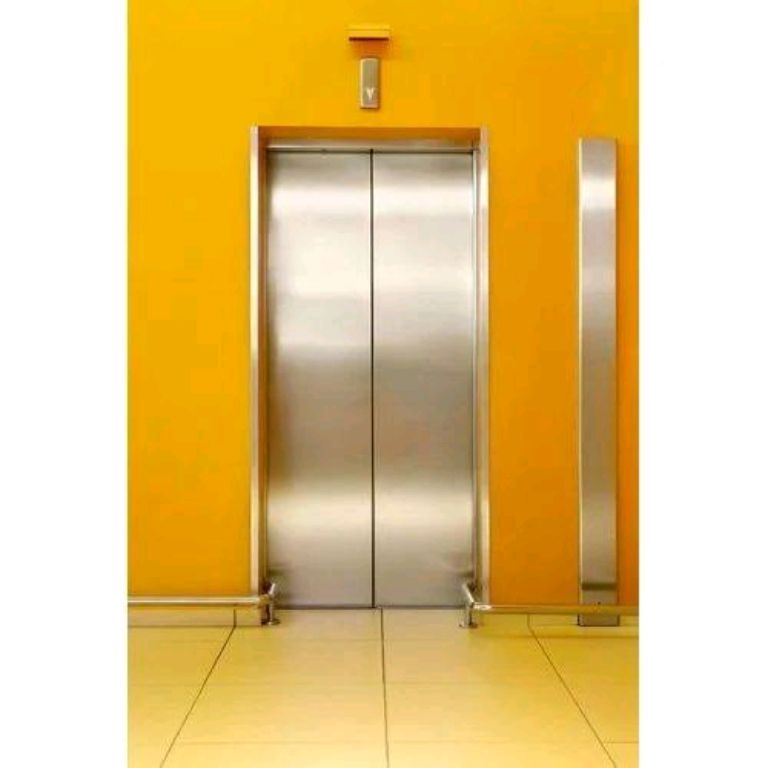 Ti-Gold Low Noise 450kg Home Elevator by Home lift elevator