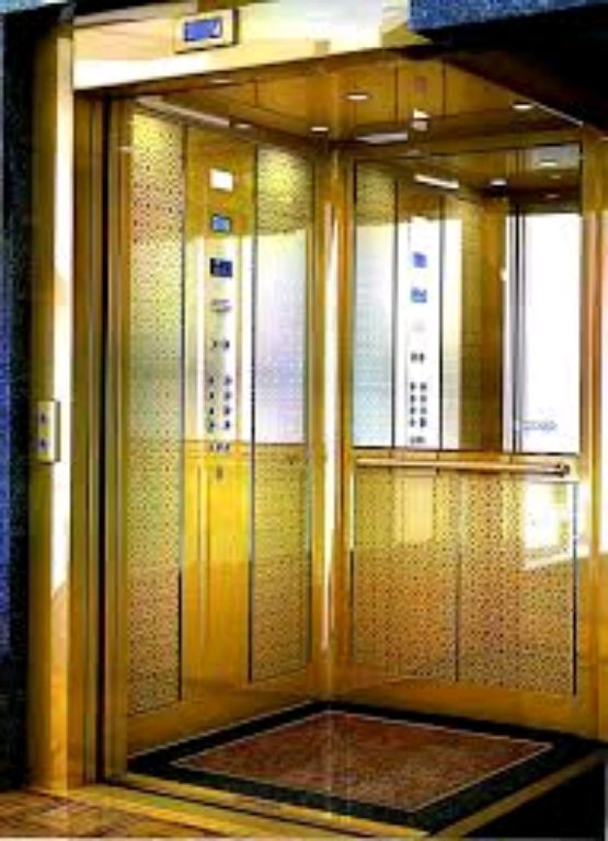 Home Lift 450kg Capacity in Ti-Gold Style by Home lift elevator