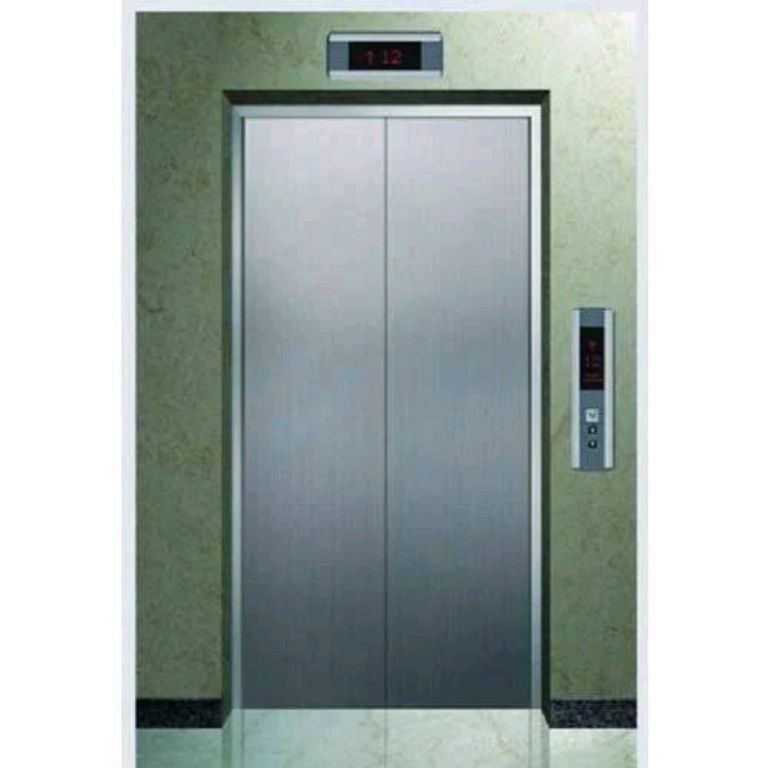 450kg Soft-Start Gold Elevator for Homes by Home lift elevator