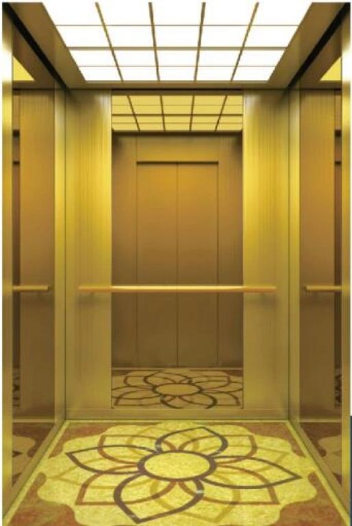 Low Noise Ti-Gold 450kg Villa Elevator by Home lift elevator