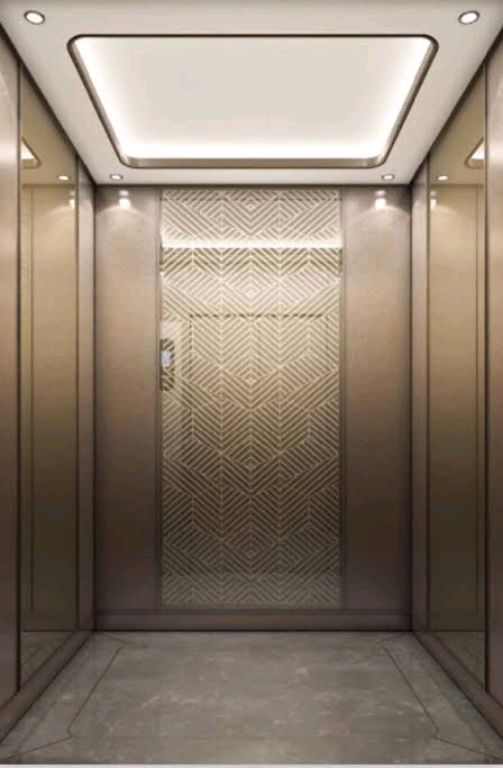 Ultra-Quiet 450kg Gold-Coated Home Elevator by Home lift elevator
