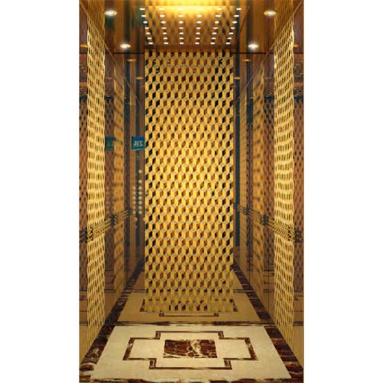 Quiet Residential Elevator with 450kg Capacity and Gold Finish by Home lift elevator