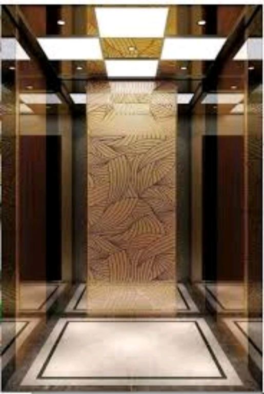 Ti-Gold Finish 450kg Quiet Operation Elevator by Home lift elevator