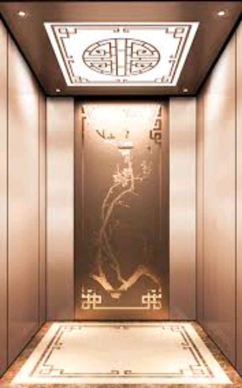 Premium Ti-Gold Low Noise House Elevator by Home lift elevator