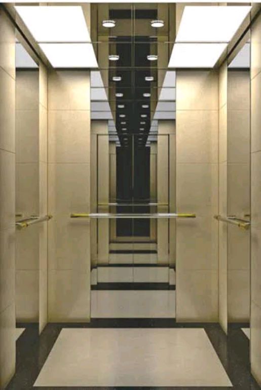 450kg Ti-Gold Silent Home Lift by Home lift elevator