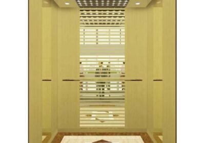 IMG_20250524_47144-1