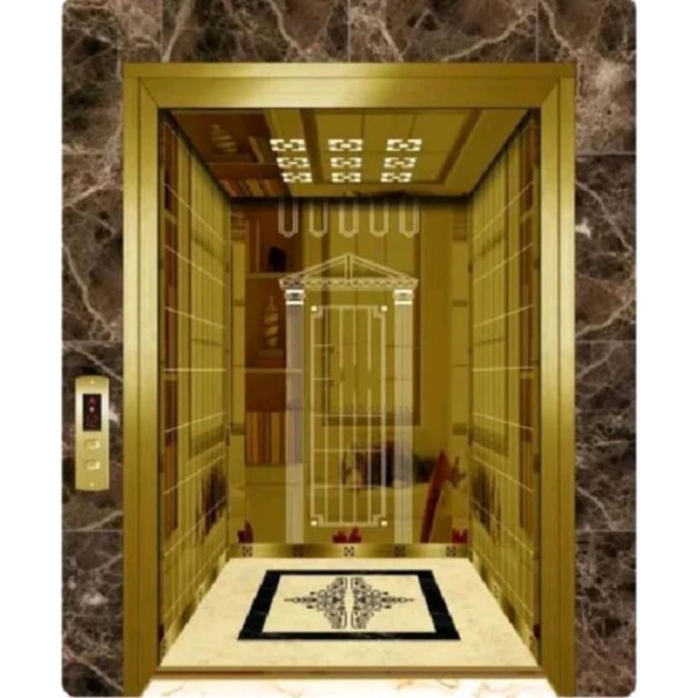 18-Person Elevator with 6 Floor Stops by Home lift elevator