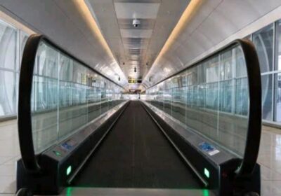 IMG_20250529_30565-1