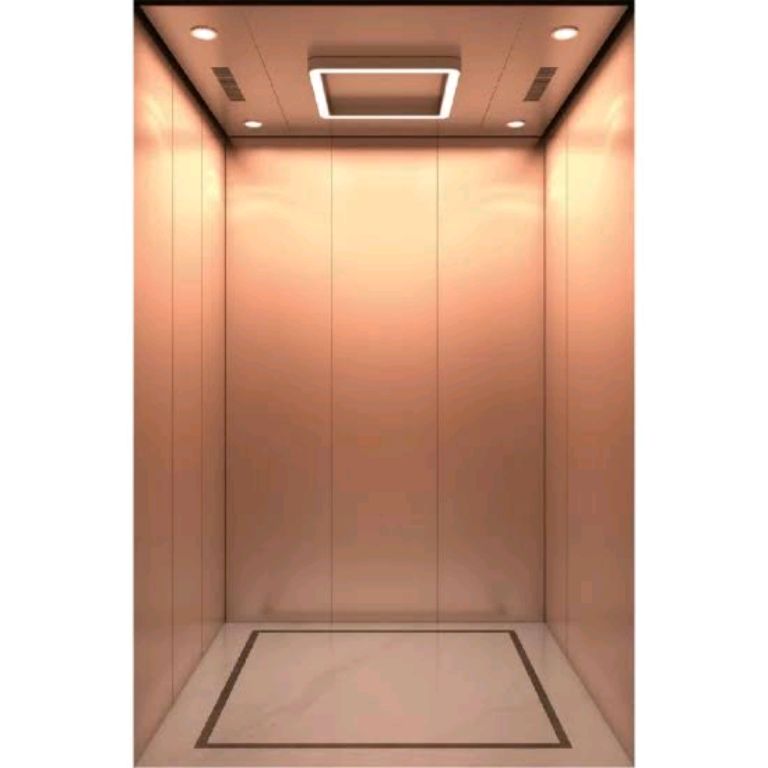 18-Passenger Vertical Transport Elevator by Home lift elevator
