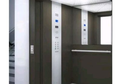 IMG_20250529_36793-1