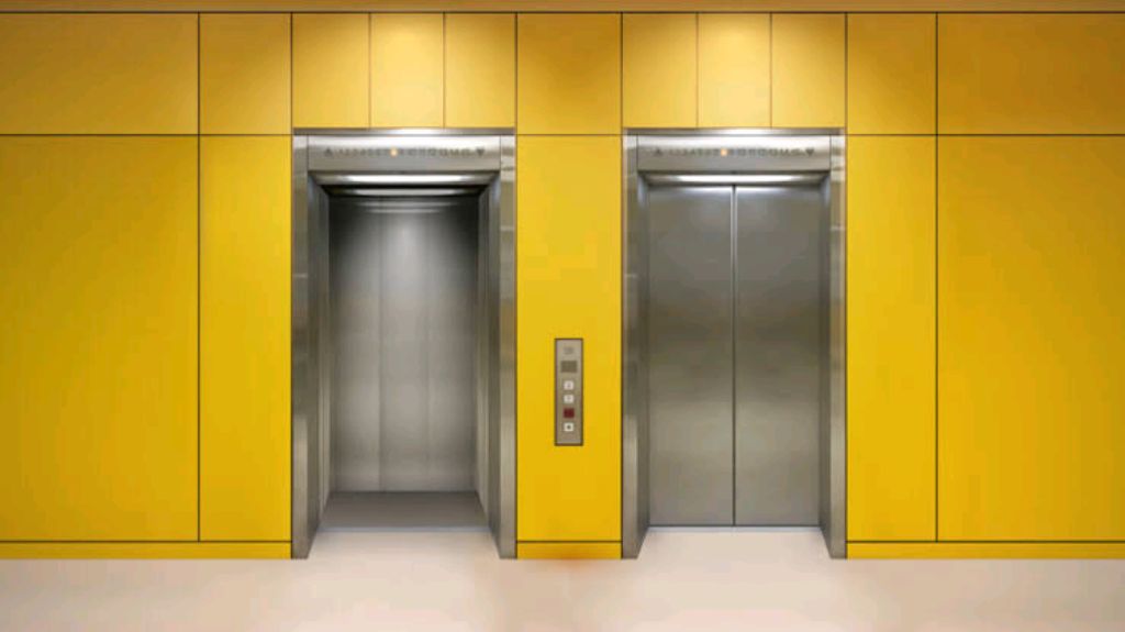 Hotel Lift for Multi-Level Access by Home lift elevator