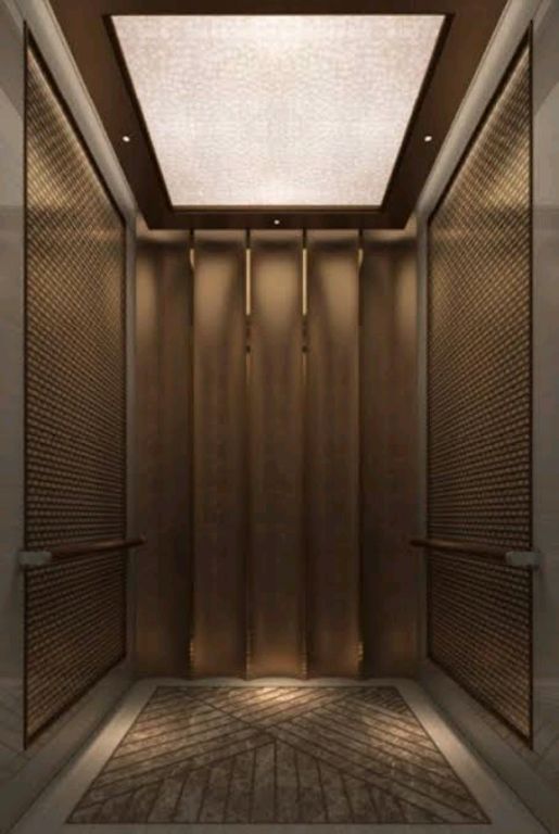 630kg 8 Pax Commercial Passenger Lift by Home lift elevator