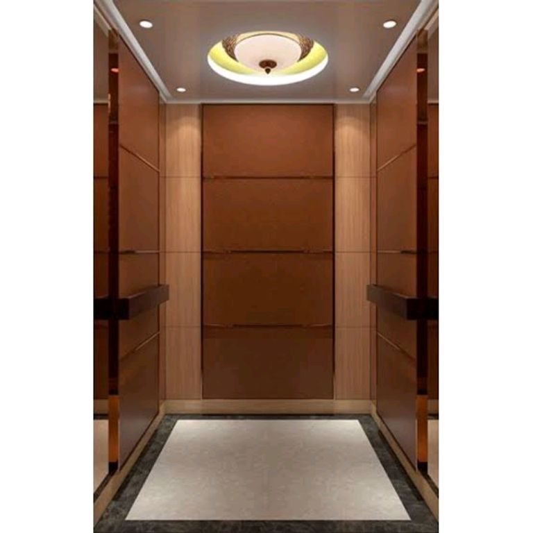 Multi-Storey 630kg Stainless Steel 8-Person Lift by Home lift elevator