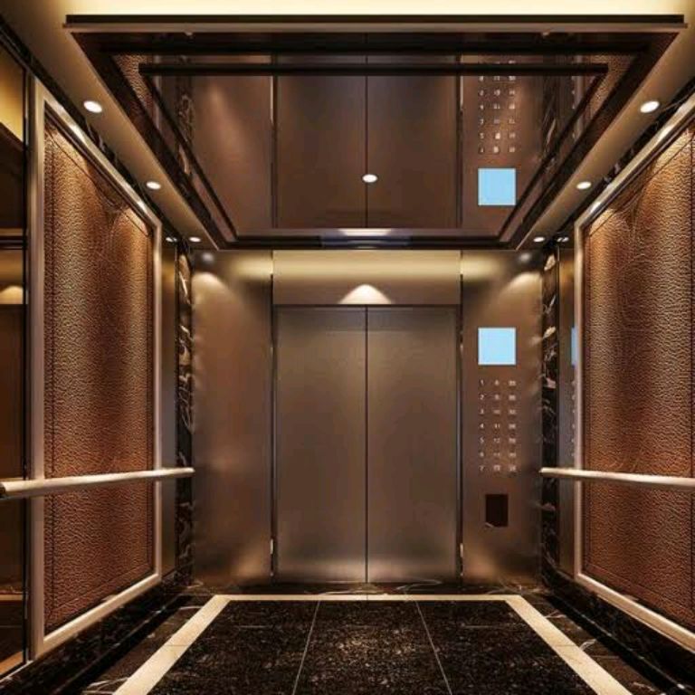 8-Person Stainless Lift with 7 Floor Coverage by Home lift elevator
