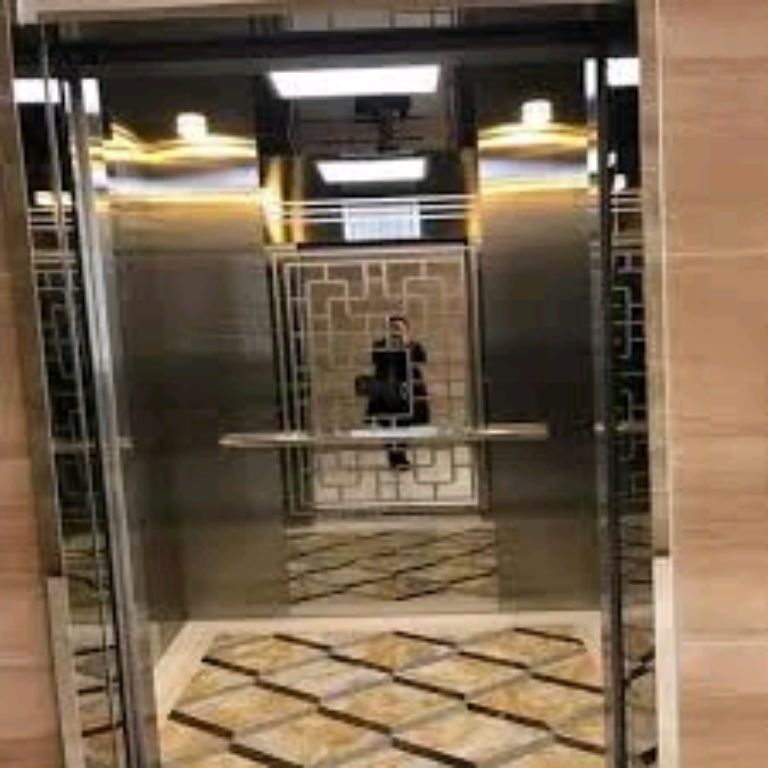 16-Passenger Lift with Auto Doors by Home lift elevator