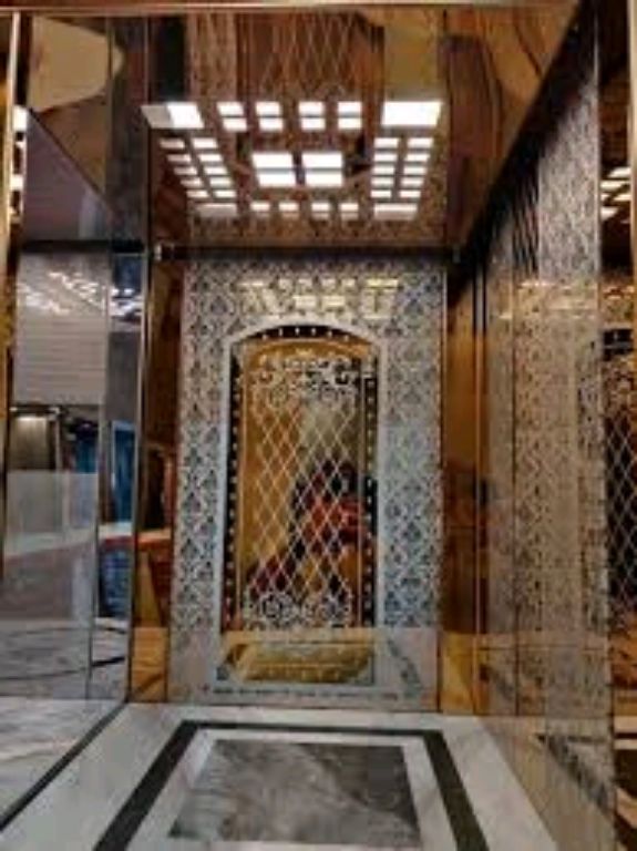 16-Person Traction Lift by Home lift elevator