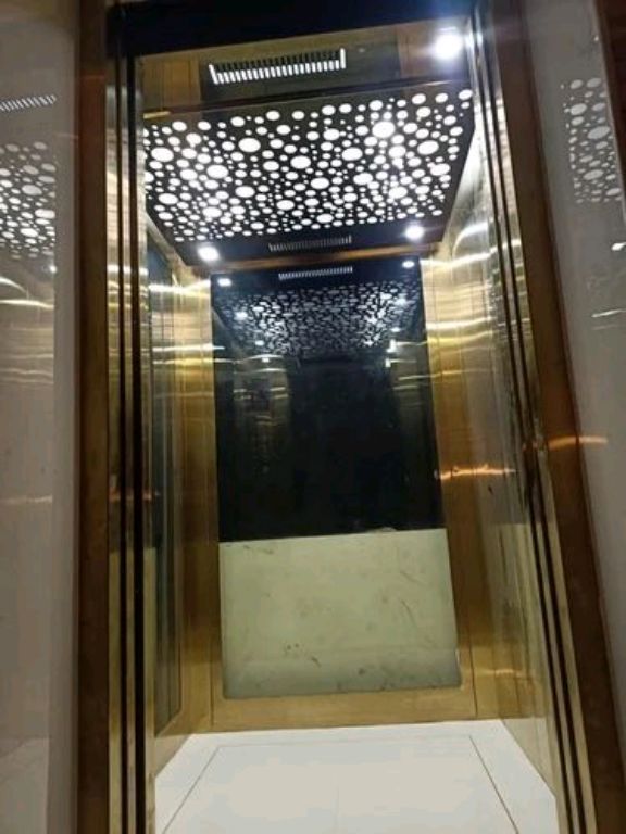 16-Passenger Commercial Elevator by Home lift elevator