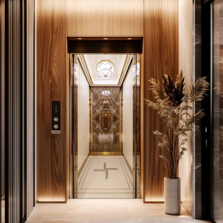 High-Tech Building Elevator Units by Home lift elevator