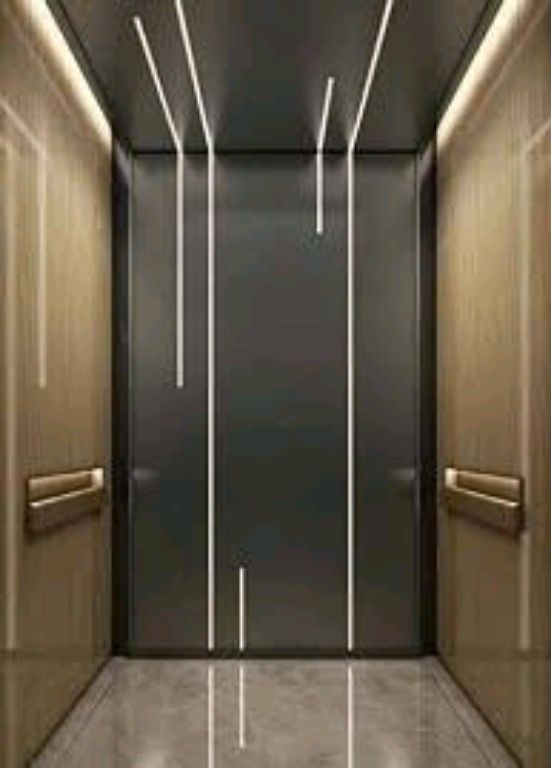 Building-Wide Accessibility Lifts by Home lift elevator