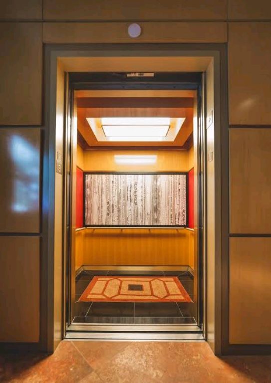 Smart Elevators for All Structures by Home lift elevator