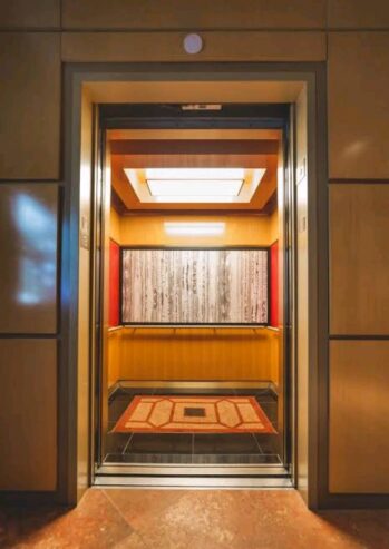 Sleek Vertical Transport Systems by Home lift elevator