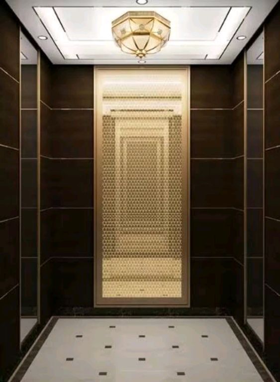 Reliable Lifts for Residential and Business Use by Home lift elevator