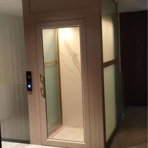 Vertical Home Transport by Home lift elevator