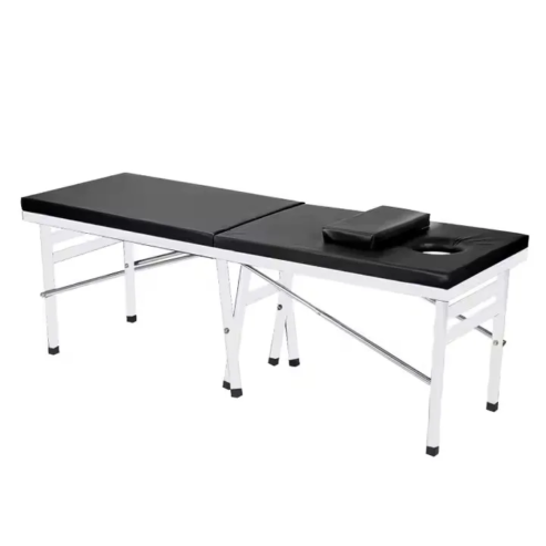 Manual Crank Hospital Bed by Scantrik