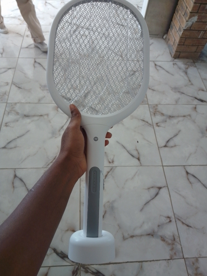 DP Electronic Rechargeable Mosquito Swatter – DP-834 By Lumett